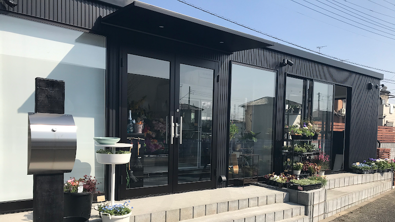 Co.garden flower&green Shop