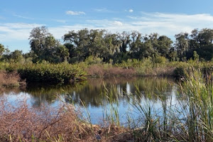 Caloosahatchee Creeks Preserve West
