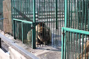 Vladikavkazkiy Zoopark image