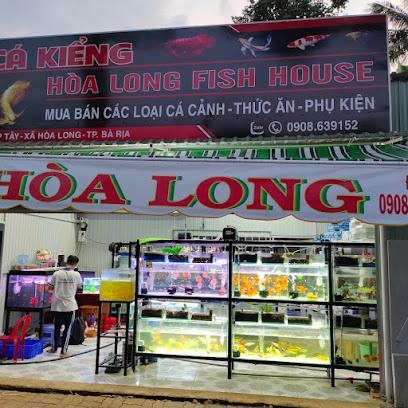 Cá cảnh - Hoà Long Fish House