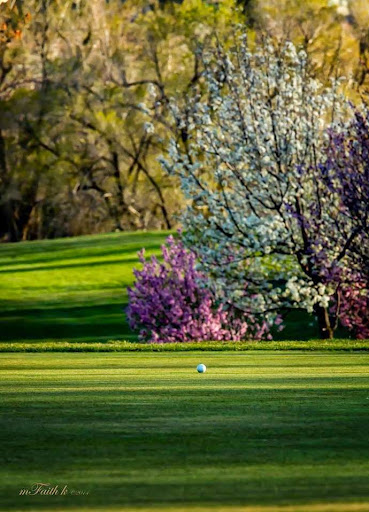 Golf Course «Washoe County Golf Course», reviews and photos, 2601 Foley Way, Reno, NV 89505, USA