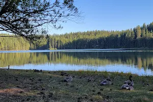Big Reservoir Campground image