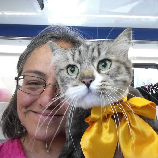 Pet Supply Store «Pet Haven», reviews and photos, 626 N Glenoaks Blvd, Burbank, CA 91502, USA