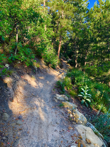 Hogan’s Run Trailhead