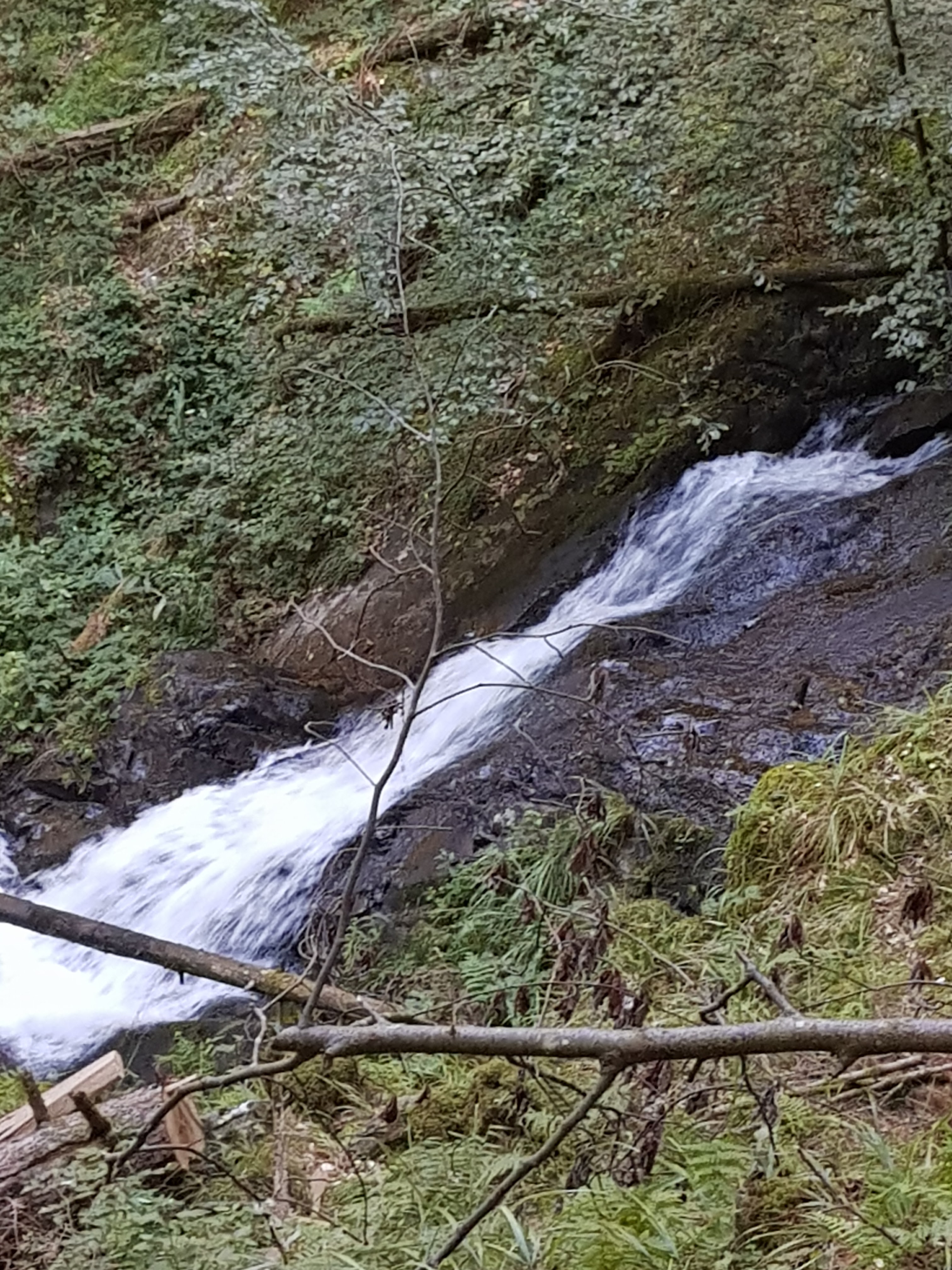 Photo n° 1 de l'avis de Sophie.c fait le 12/09/2019 à 15:42