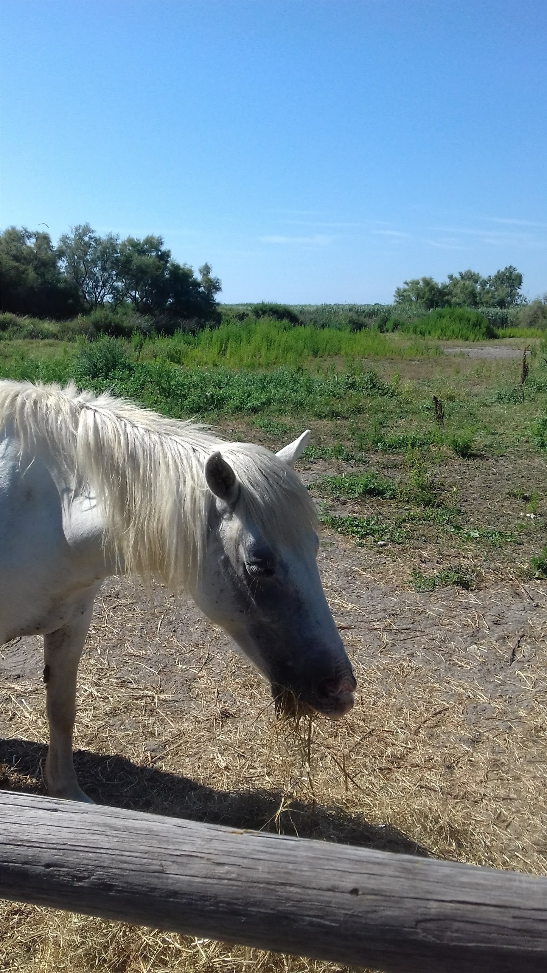 Photo n° 3 de l'avis de Dominique.a fait le 09/07/2018 à 11:24