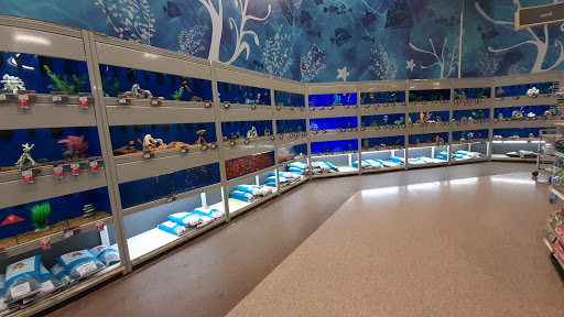 Pet Supply Store «PetSmart», reviews and photos, 4005 Airport Fwy, Irving, TX 75062, USA