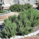 Photo n°5 de l'avis de Patrick.c fait le 15/09/2019 à 14:00 sur le  Trödler zur Burgschenke à Esslingen