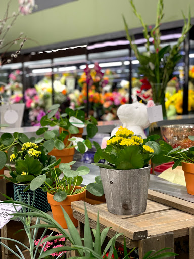 Grocery Store «Star Market», reviews and photos, 1070 Lexington St, Waltham, MA 02452, USA