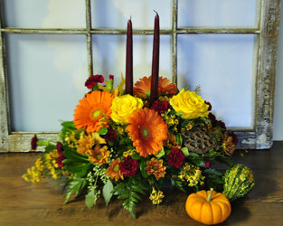 Florist «Polites Florist», reviews and photos, 443 Baltimore Pike, Springfield, PA 19064, USA