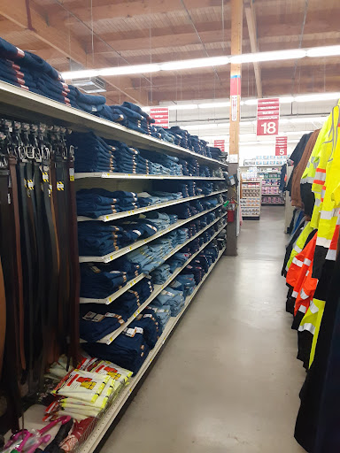 Department Store «Bi-Mart», reviews and photos, 1813 S Molalla Ave, Oregon City, OR 97045, USA