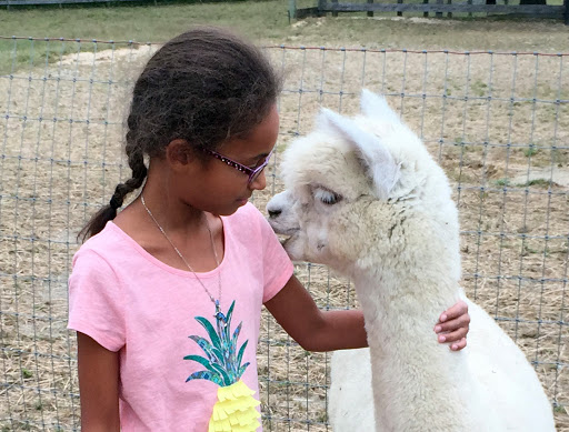 Farm «Painted Sky Alpaca Farm & Fiber Mill», reviews and photos, 95 Knight House Ln, Earleville, MD 21919, USA