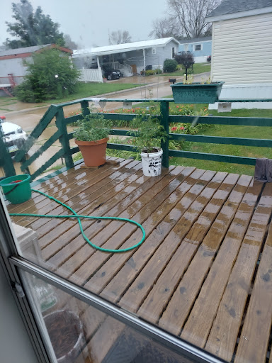 Sporting Goods Store «Palo Outdoors», reviews and photos, 1204 1st St, Palo, IA 52324, USA