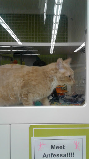 Pet Supply Store «Petco Animal Supplies», reviews and photos, 2687 Countryside Dr, Turlock, CA 95380, USA