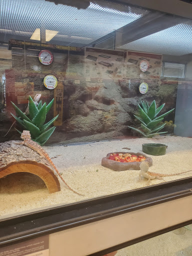 Pet Supply Store «Petco Animal Supplies», reviews and photos, 3150 Erie Blvd E #500, Syracuse, NY 13214, USA