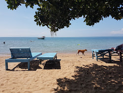 Photo de Rabbit Island Beach et le règlement