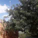 Photo n°4 de l'avis de Anna.a fait le 19/09/2021 à 13:30 sur le  Camping Coccorrocci à Marina di Gairo