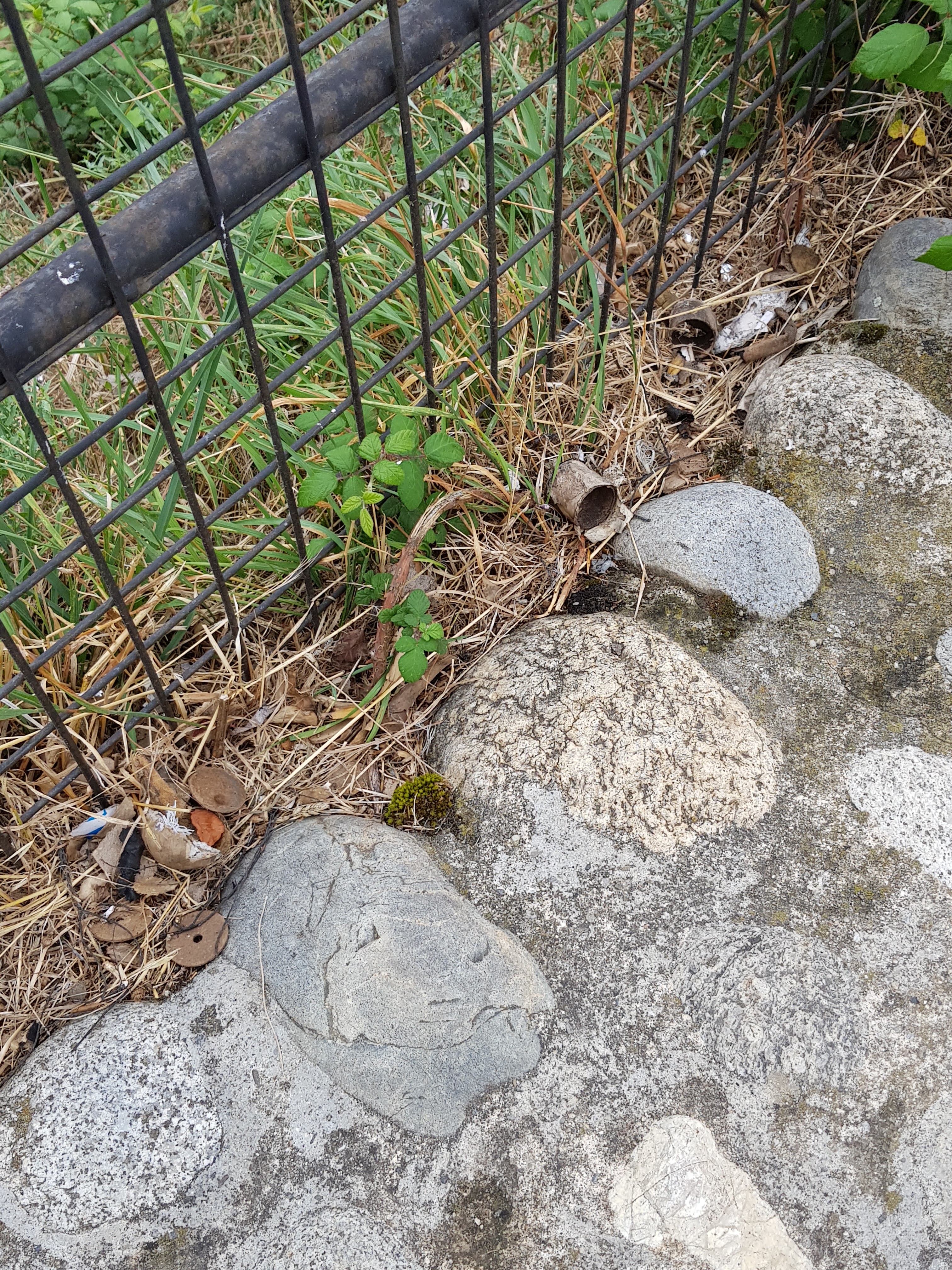 Photo n° 3 de l'avis de Maxence.u fait le 12/08/2019 à 16:47