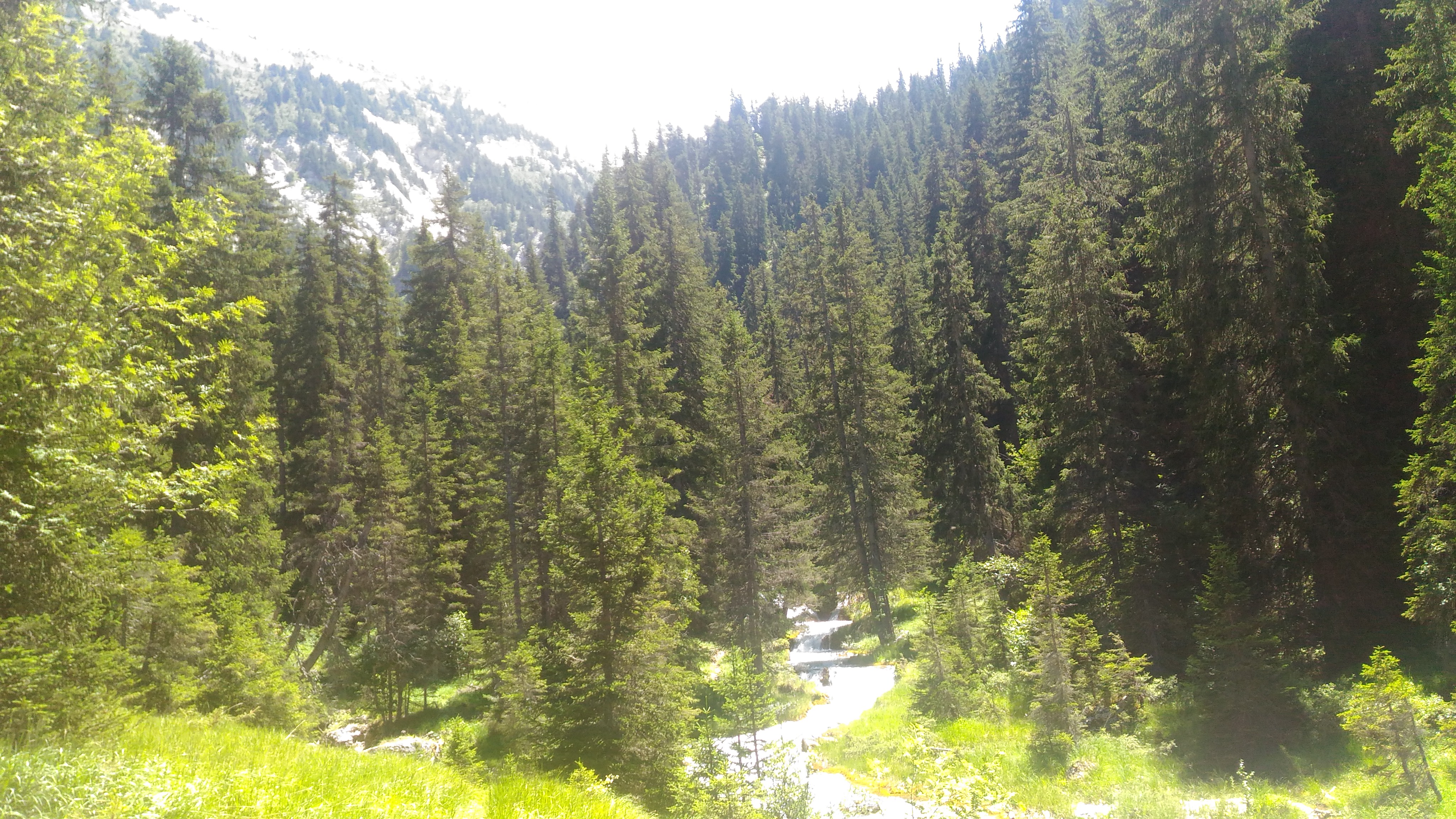 Photo n° 9 de l'avis de maylis.a fait le 15/07/2017 à 14:22