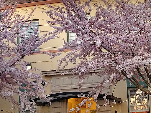 Community Center «Northeast Community Center», reviews and photos, 1630 NE 38th Ave, Portland, OR 97232, USA