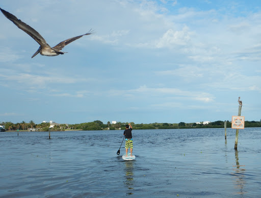 Canoe & Kayak Rental Service «Sea Sup Go Paddle & Surf Company», reviews and photos, 40 Royal Palm Pointe, Vero Beach, FL 32960, USA