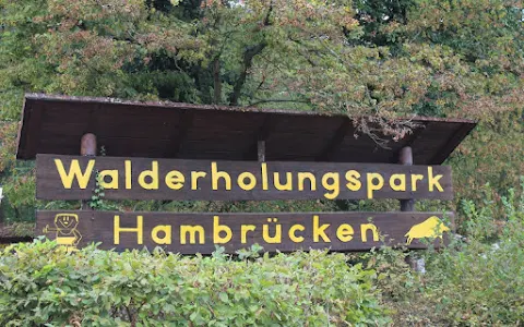Walderholungspark Hambrücken image