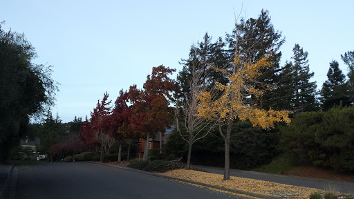 Sports Club «Rolling Hills Club», reviews and photos, 351 San Andreas Dr, Novato, CA 94945, USA