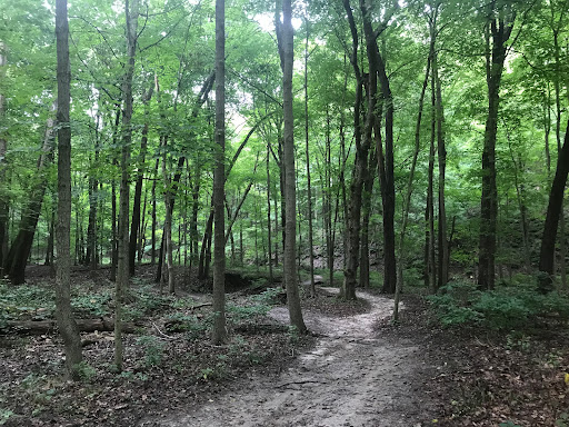 Nature Preserve «John M Olin Nature Preserve», reviews and photos, 2213 South Levis Lane, Godfrey, IL 62035, USA