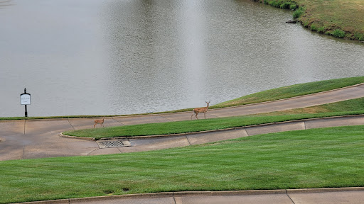 Golf Course «River Creek Club», reviews and photos, 43800 Olympic Blvd, Leesburg, VA 20176, USA