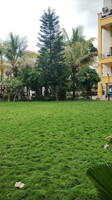 Google Maps image 18