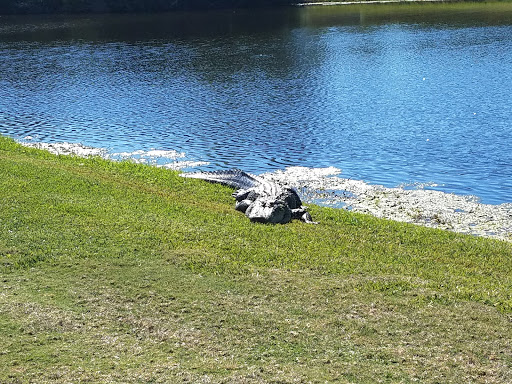 Private Golf Course «Bayou Club», reviews and photos, 7979 Bayou Club Blvd, Largo, FL 33777, USA