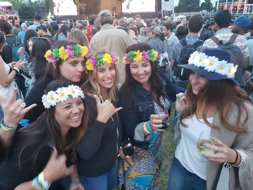 BottleRock Napa Valley image
