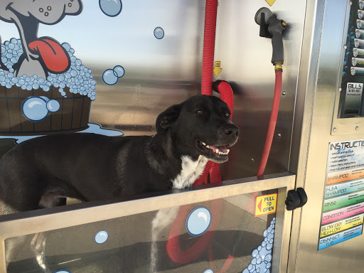 Salty Dog Pet Resort