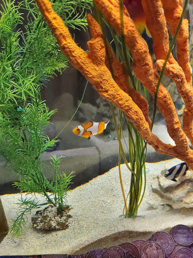 Aquarium «Newport Aquarium», reviews and photos, 1 Aquarium Way, Newport, KY 41071, USA