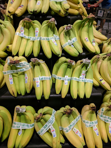 Grocery Store «Food Lion», reviews and photos, 13100 Midlothian Turnpike, Midlothian, VA 23113, USA