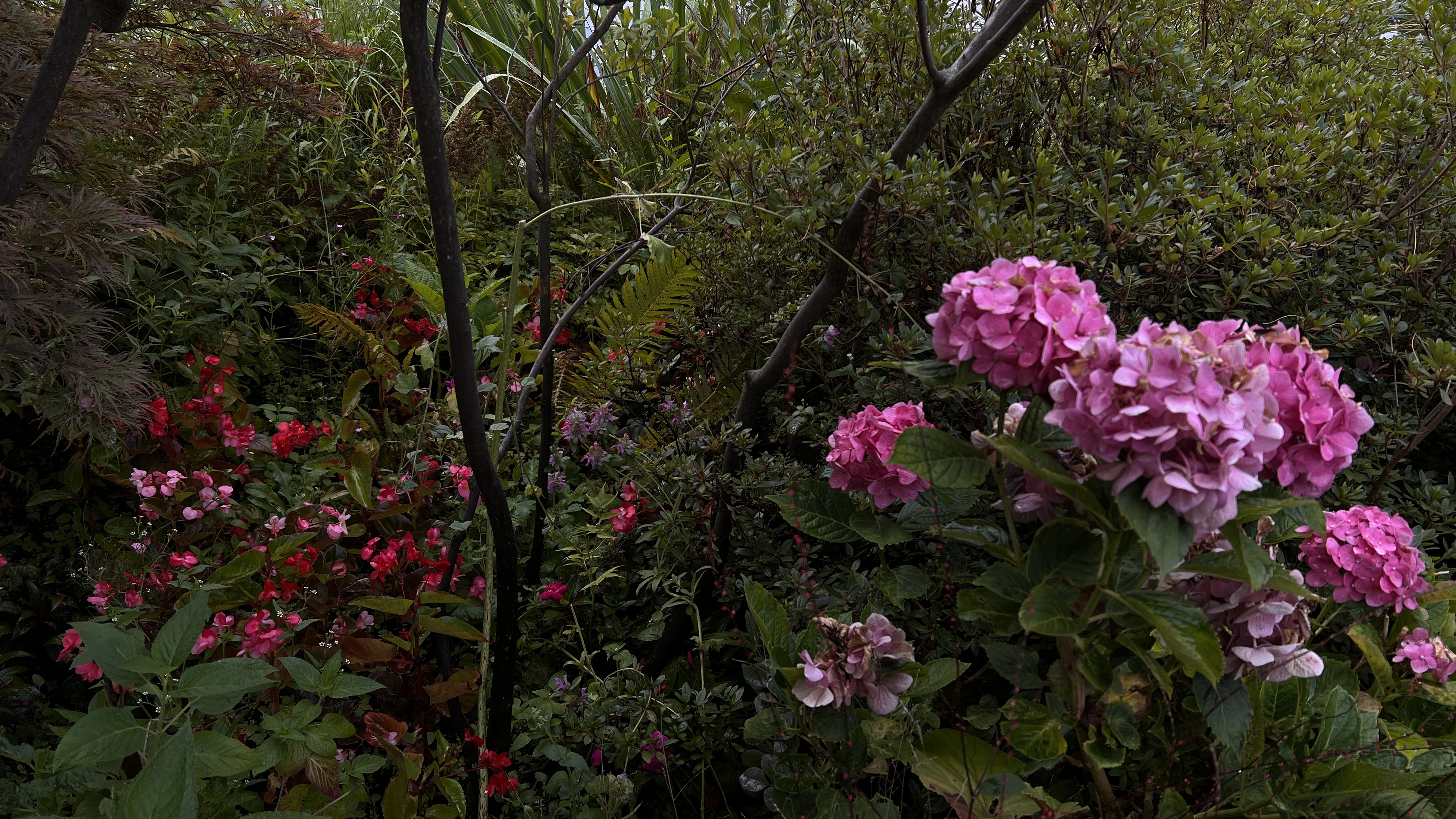 Photo n° 3 de l'avis de Michel.� fait le 14/08/2022 à 08:26