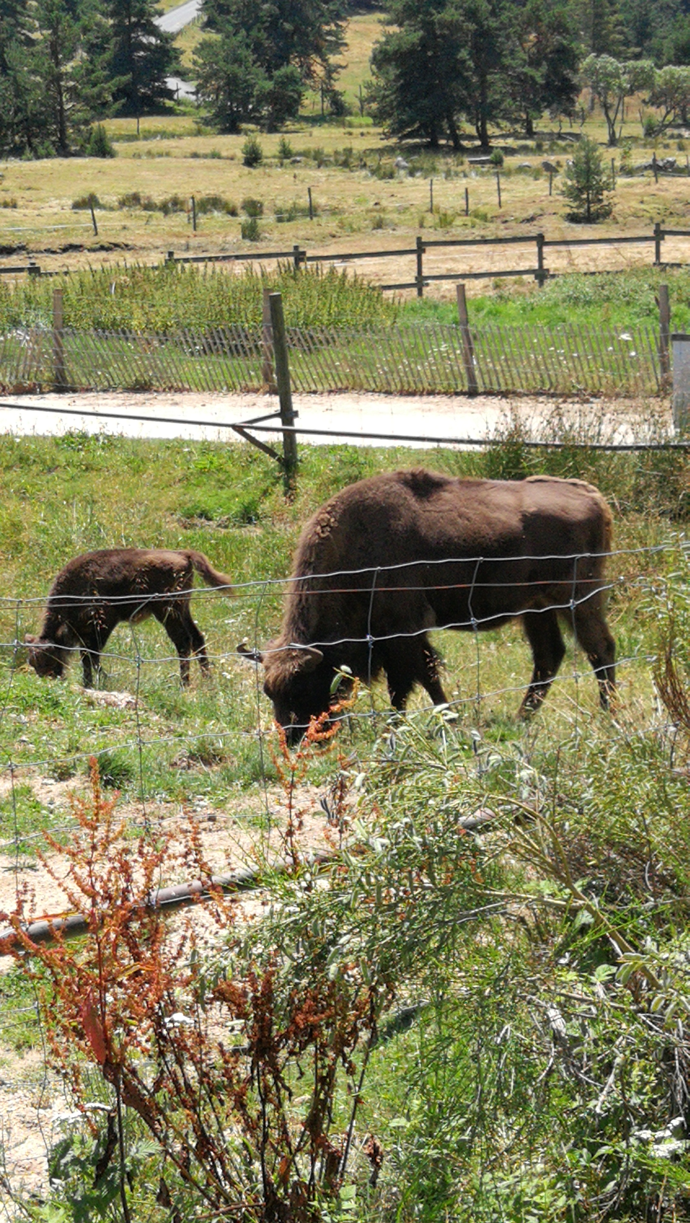 Photo n° 2 de l'avis de Pascal.A fait le 08/08/2018 à 13:26
