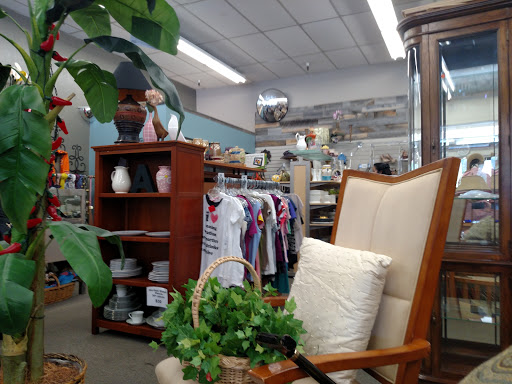 Thrift Store «Hospice Thrift Shoppes», reviews and photos, 3162 Danville Blvd, Alamo, CA 94507, USA