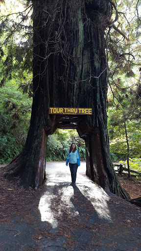 Cafe «The Good Harvest Cafe», reviews and photos, 575 US Hwy 101 S, Crescent City, CA 95531, USA