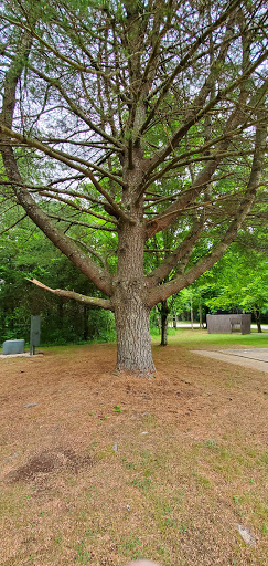 Campground «Salt Lick Creek Campground», reviews and photos, 520 Salt Lick Park Ln, Gainesboro, TN 38562, USA