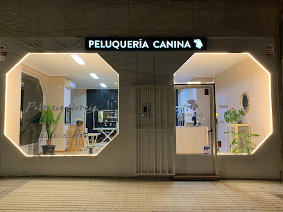 Patricia García peluquería canina - Servicios para mascota en Madrid