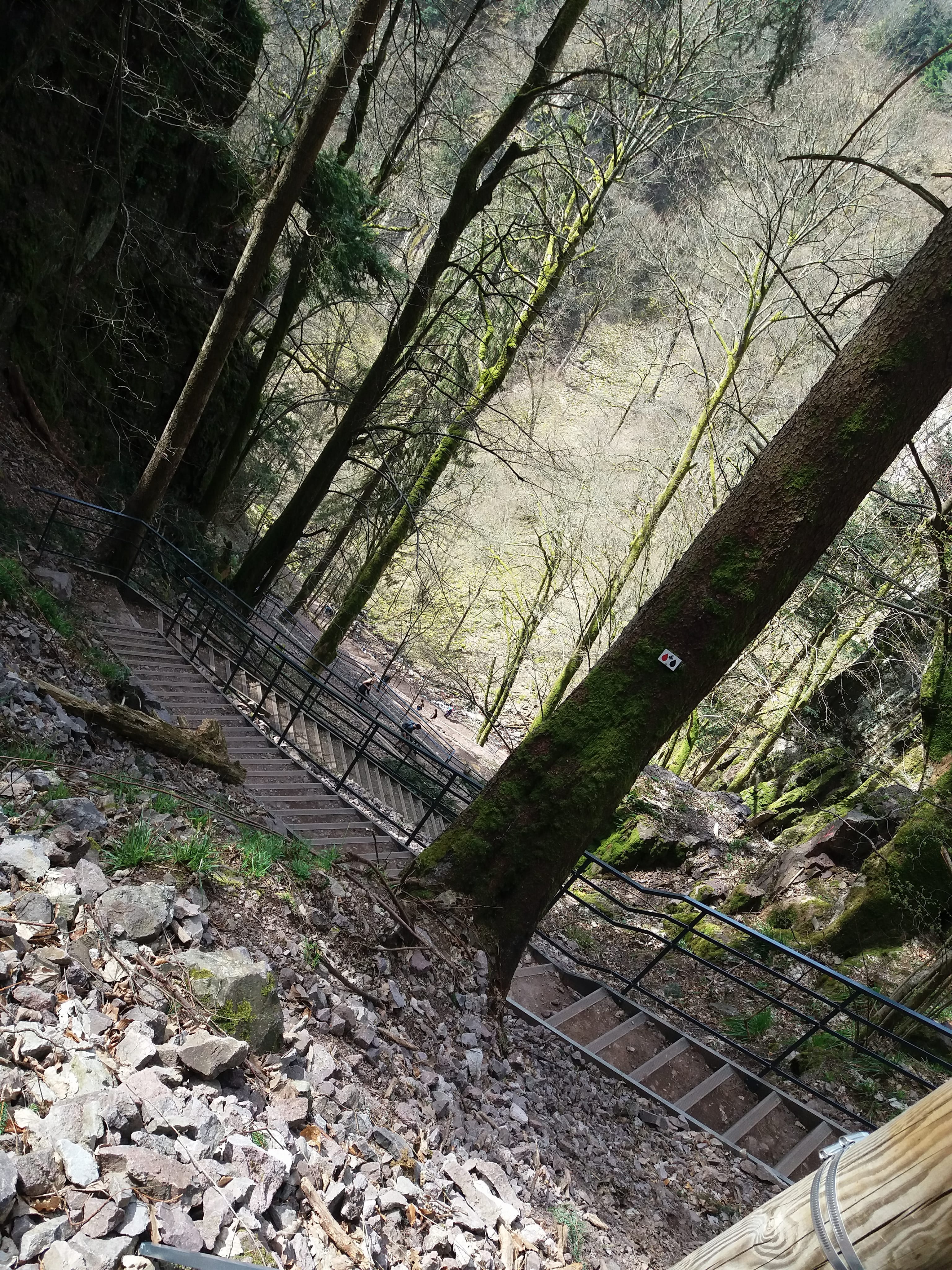 Photo n° 15 de l'avis de yann.a fait le 12/04/2018 à 05:08