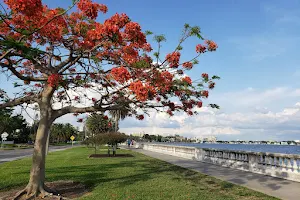 Bayshore Boulevard image