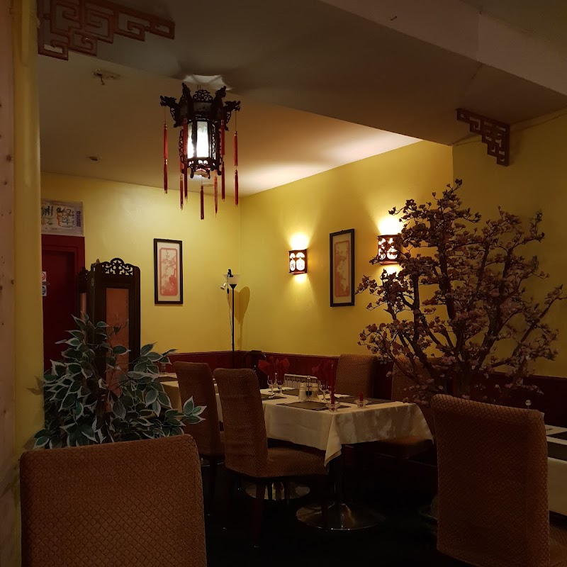 Dynasty Chinese & Asian Restaurant