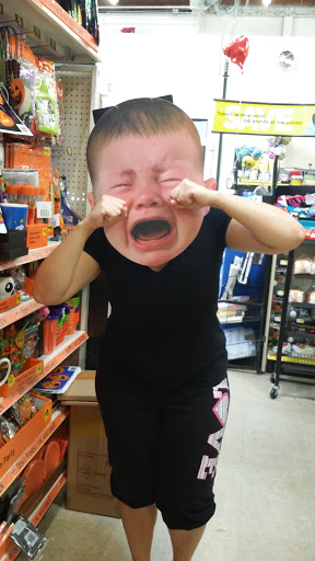 Discount Store «Dollar General», reviews and photos, 1504 Allen St, Springfield, MA 01118, USA