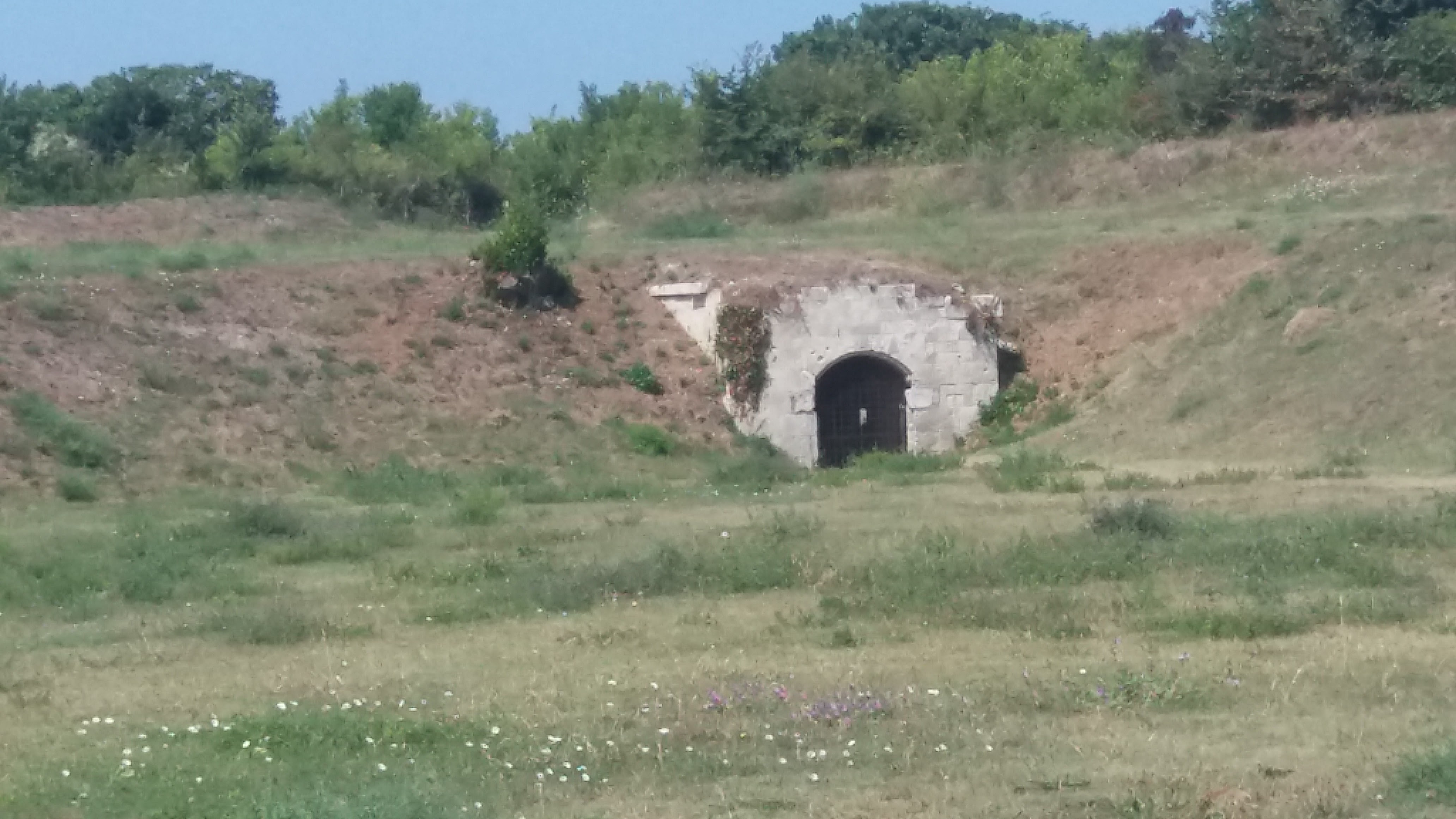 Photo n° 3 de l'avis de Lish. fait le 23/08/2018 à 16:11
