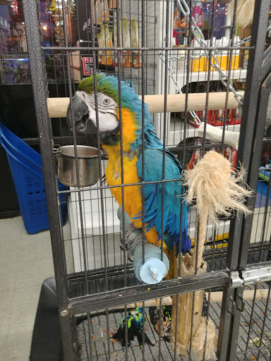 Pet Store «Animal Krackers Pet Center», reviews and photos, 3309 W 115th St, Merrionette Park, IL 60803, USA