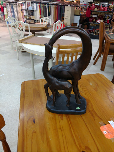 Thrift Store «The Salvation Army Family Store & Donation Center», reviews and photos