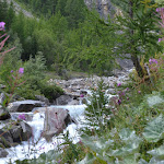 Photo n°3 de l'avis de Luca.c fait le 30/08/2017 à 20:46 sur le  Cabane du Combal à Courmayeur