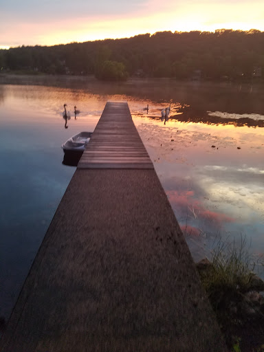 Park «Muriel Hepner Nature Park», reviews and photos, Diamond Spring Rd, Denville, NJ 07834, USA